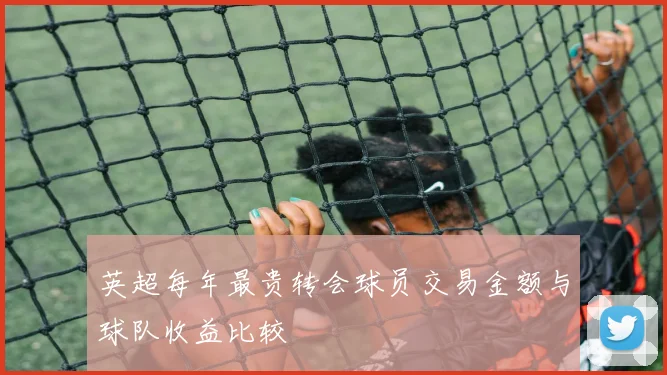英超每年最贵转会球员交易金额与球队收益比较