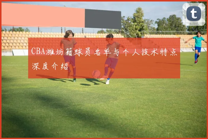 CBA潍坊籍球员名单与个人技术特点深度介绍