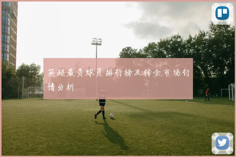 英超最贵球员排行榜及转会市场行情分析
