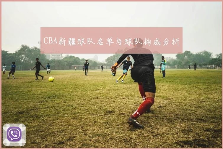 CBA新疆球队名单与球队构成分析