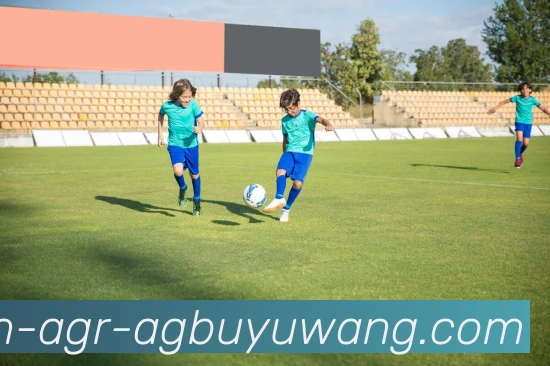 AG捕鱼王官网平台生态图