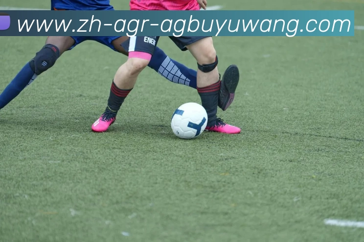 数据防护可视化